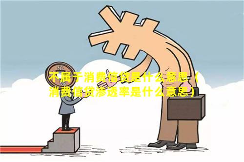 不属于消费信贷是什么意思（消费信贷渗透率是什么意思）