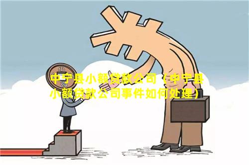 中宁县小额贷款公司（中宁县小额贷款公司事件如何处理）