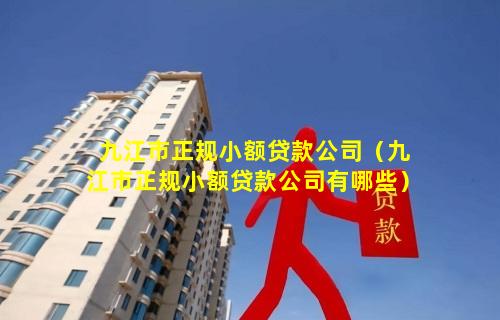 九江市正规小额贷款公司（九江市正规小额贷款公司有哪些）