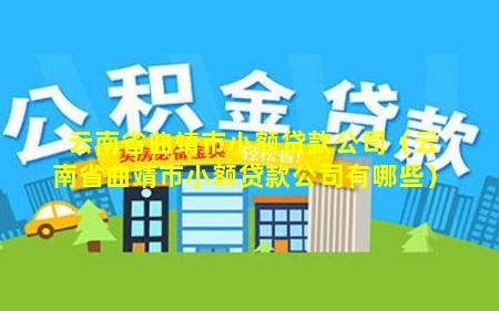 云南省曲靖市小额贷款公司（云南省曲靖市小额贷款公司有哪些）