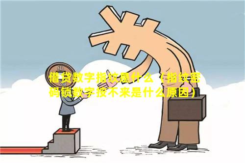 借贷数字指纹是什么（指纹密码锁数字按不来是什么原因）