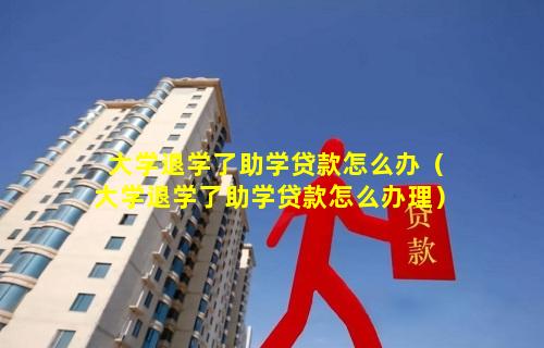 大学退学了助学贷款怎么办（大学退学了助学贷款怎么办理）